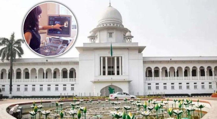 গর্ভের সন্তান ছেলে না মেয়ে, তা আর প্রকাশ করা যাবে না